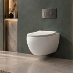 Why Choose AQUIS Wall Hung WC